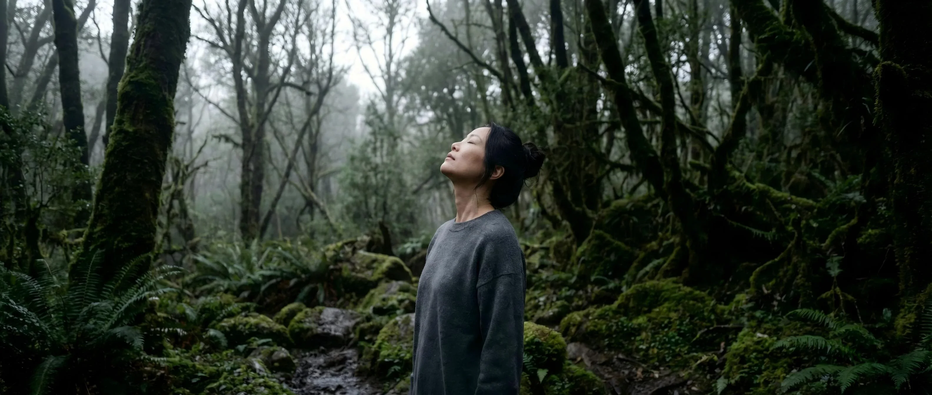 A figure walking through a misty bamboo forest, soft lighting
